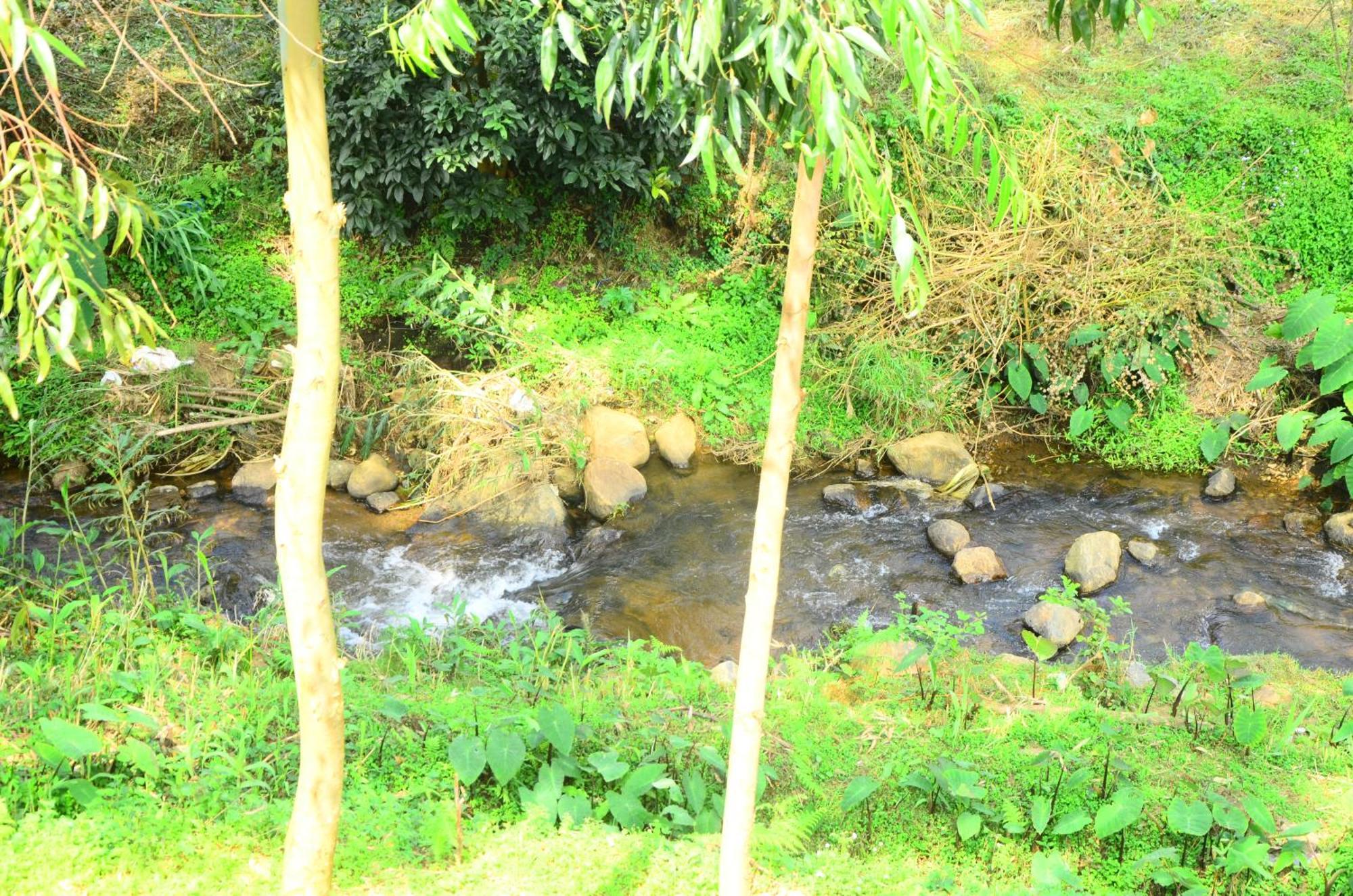Bohemian Hideaway By Futurve Bed and Breakfast Kodaikanal Buitenkant foto